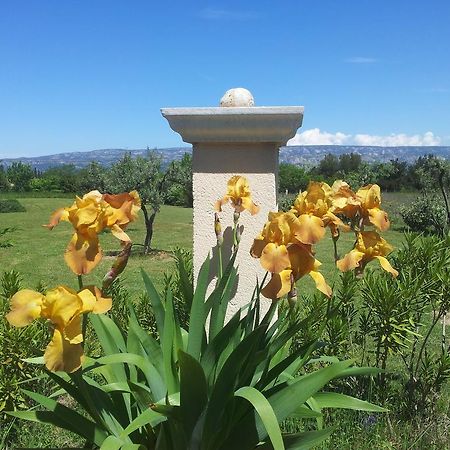Lamanderie En Provence Bed and Breakfast Alleins Εξωτερικό φωτογραφία