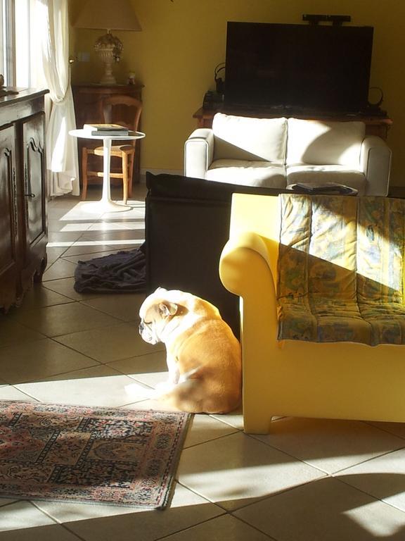 Lamanderie En Provence Bed and Breakfast Alleins Εξωτερικό φωτογραφία