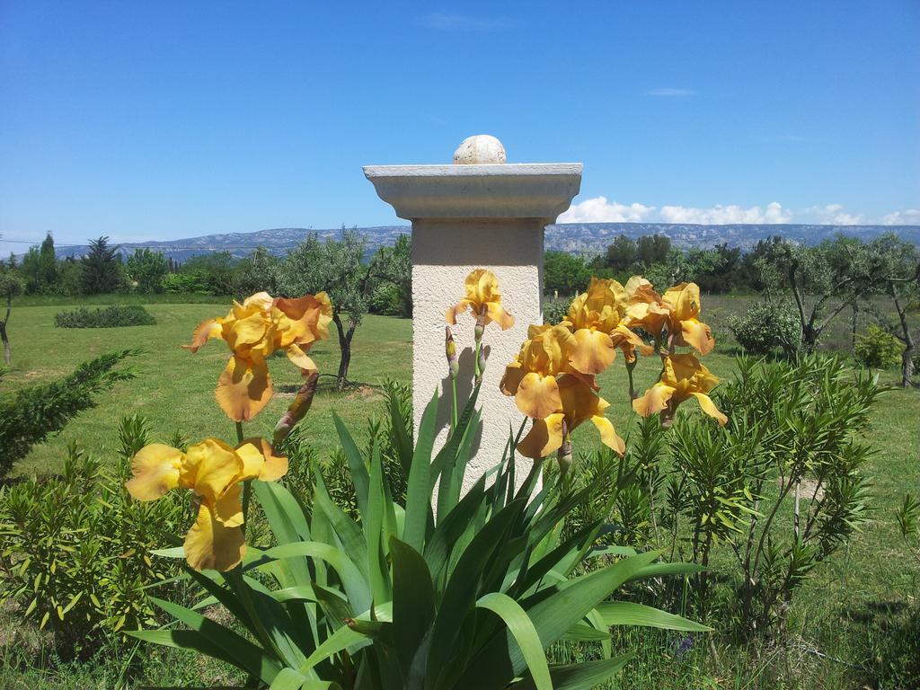 Lamanderie En Provence Bed and Breakfast Alleins Εξωτερικό φωτογραφία